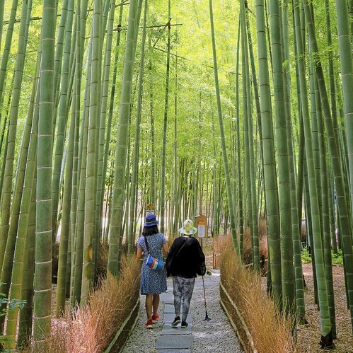 XT4A2970_openWith_0003ON1noise