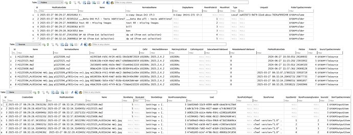 2025-03-27_083337_PL DB after the export from an External Selection