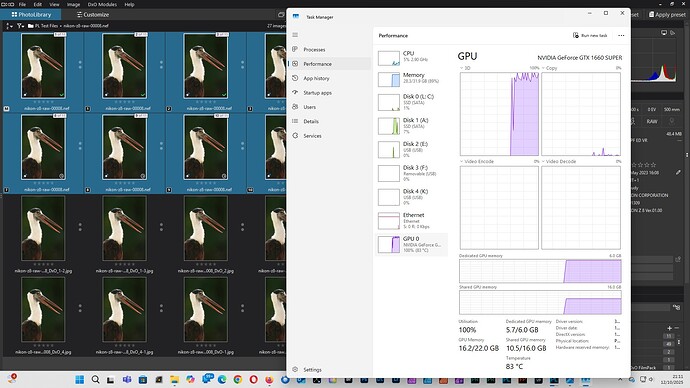 Screenshot of Task Manager during export of 11 images PL9.1 12.10.25