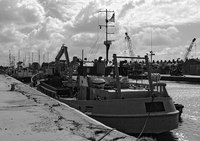 T3034x2024-03029_DxO