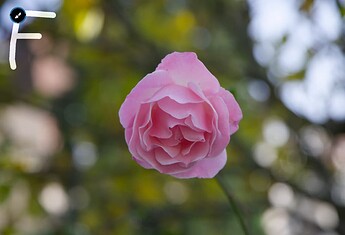 Screen @ 2025-10-21 um 14.53.53