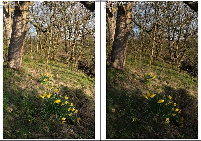 Screenshot 2026-04-07 at 09.47.01