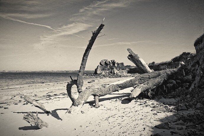 _JNA0026_1_DxO_1_3