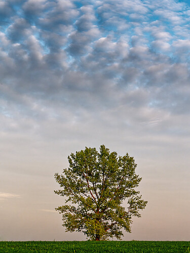 P1007974_DxO