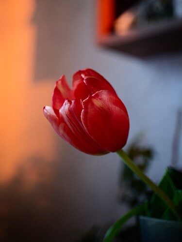 DSCF3078