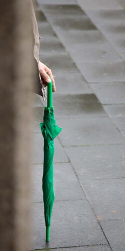 Der grüne Regenschirm