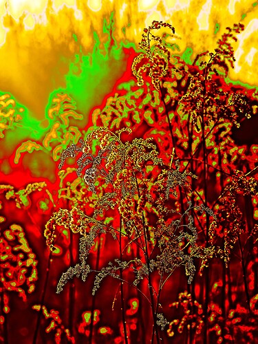 DSC_8269_2