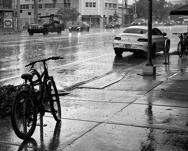 DF1_3233  2023-06-30_1_DxO