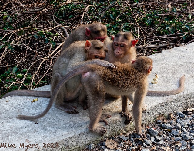 DSCF5882  2023-12-31-2