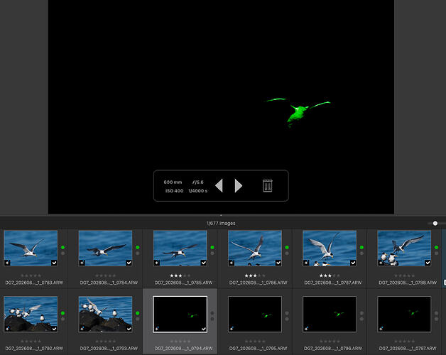 Screenshot 2026-09-02 at 6.27.01 am