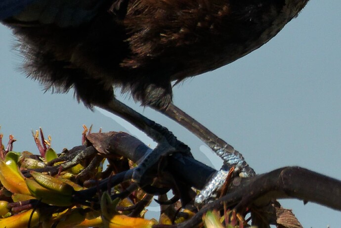 CleanShot 2025-11-02 at 13.52.41@2x