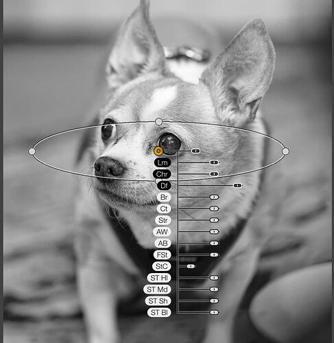 Screenshot 2024-09-20 at 3.32.42 PM