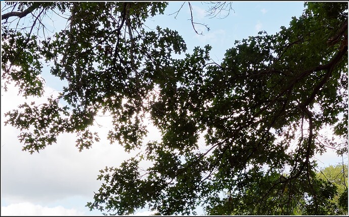 2025-09-10_164730_Option 2 ON + DP2s - 100%