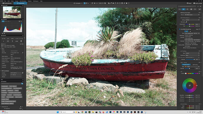 PL9 showing dop down for Color B&W Rendering 27.08.26