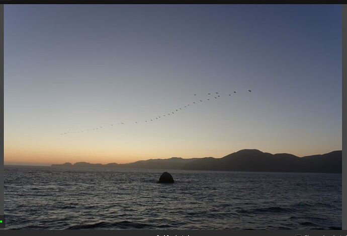 Screenshot 2026-03-03 at 10.35.51 AM