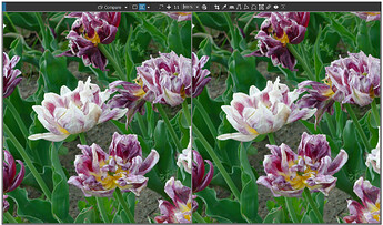 Screen Shot 08-07-26 at 10.05 AM.PNG