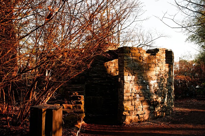 _DSC8610_DxO 01-11-23 DPXD-75%