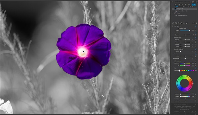 Screenshot 2026-02-28 at 1.02.21 PM