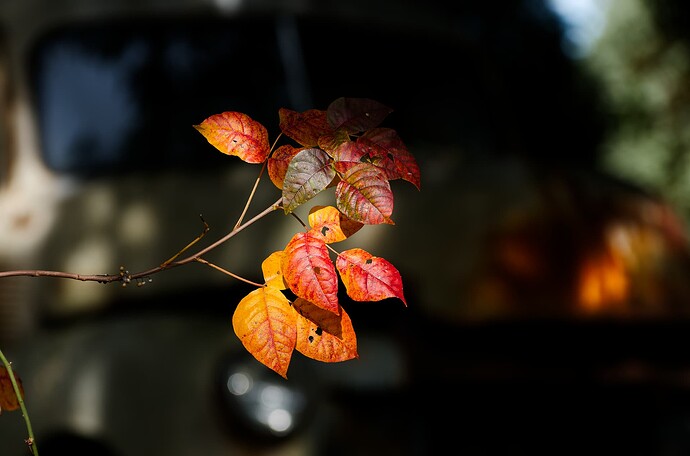 20131003_154738_PENTAX K-5_CapeCod