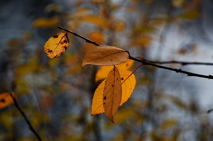 20191124_1632000_Seeloc16-1