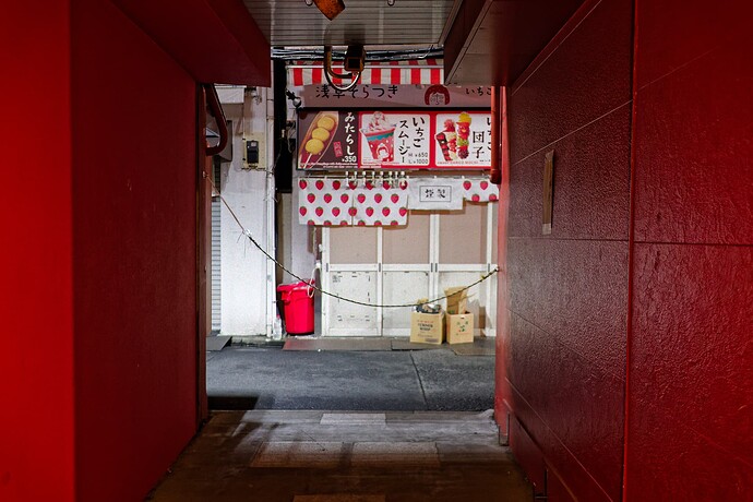 XT4A2481_Tokyo2025_DxO