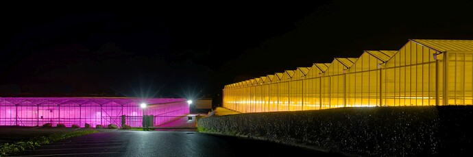 2024-11-11-18-37-18_G40A4679_1