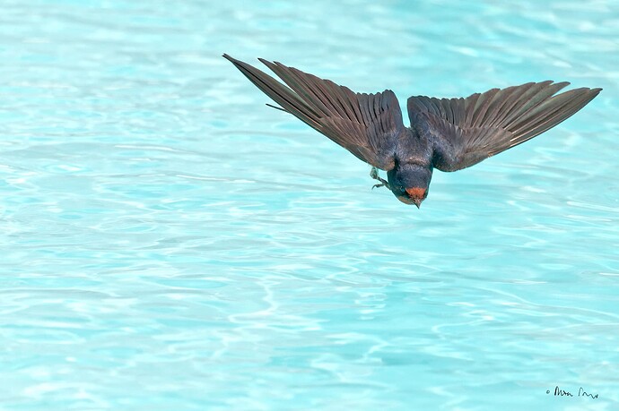 D6703440_DxO_DxO-LE
