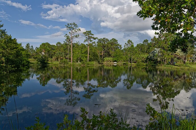 780_1313  2023-06-09_1_DxO