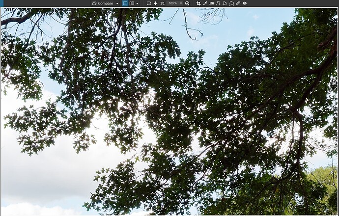 2025-09-10_164621_Option 2 ON + DP3 - 100%