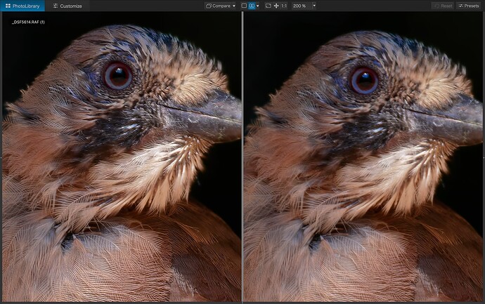 Screenshot 2025-12-10 at 10.39.55
