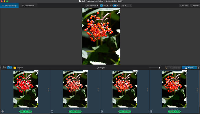 Gamut and Rendering