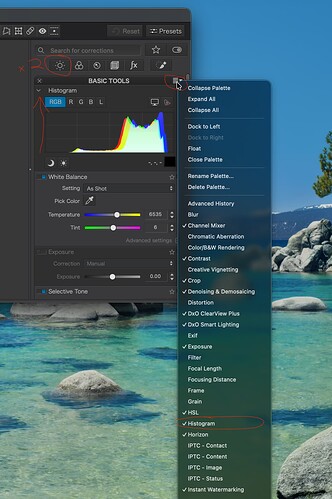Add histogram to R panel PL8