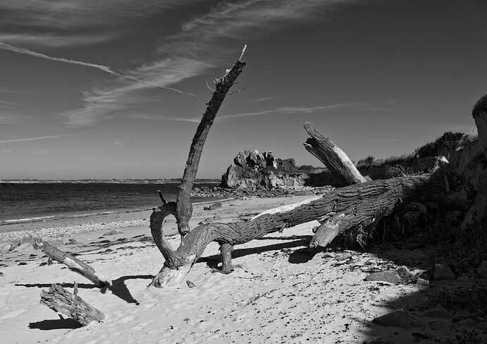 _JNA0026_4_DxO