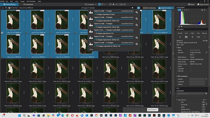 PL9.1 Successful Export of 11 100% JPEG DeepPRIME XD2s  12.10.25