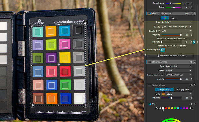 DCP_Profile