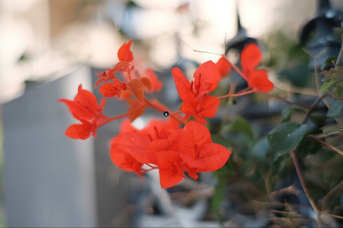 Screenshot 2025-11-14 at 12.06.16 PM