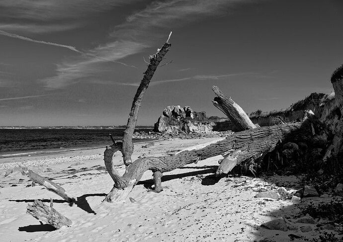 _JNA0026_4_DxO