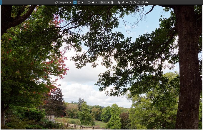 2025-09-10_165916_Options 1 & 2 ON + XD2s - 71%