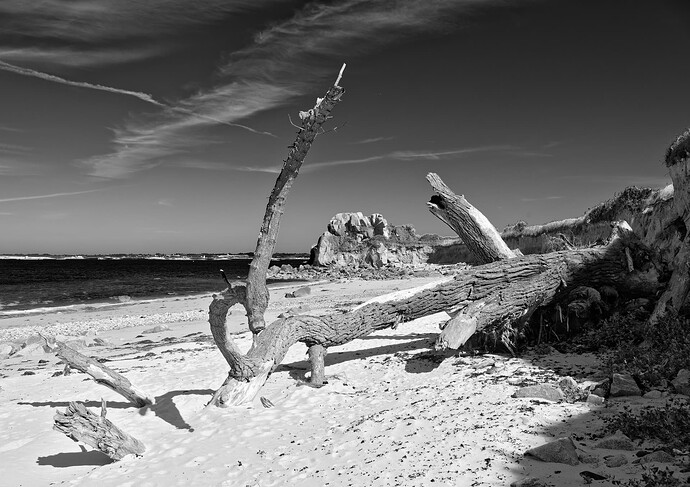 _JNA0026_4_DxO