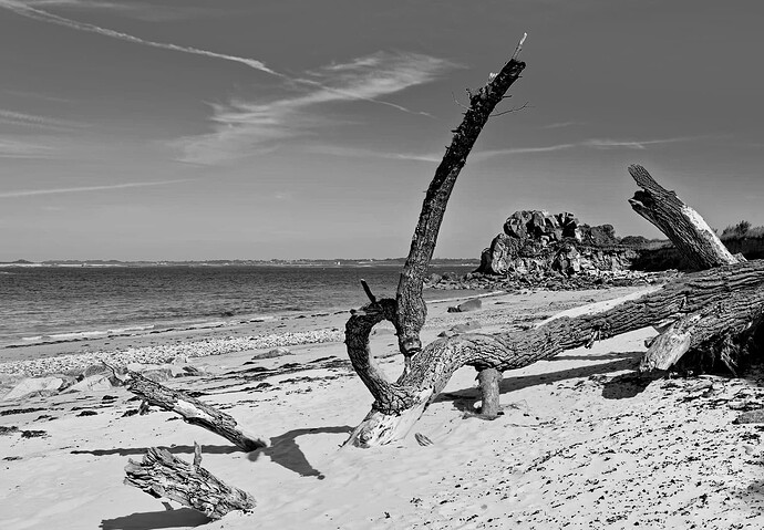 _JNA0026_1_DxO-edit-swm attempt_1