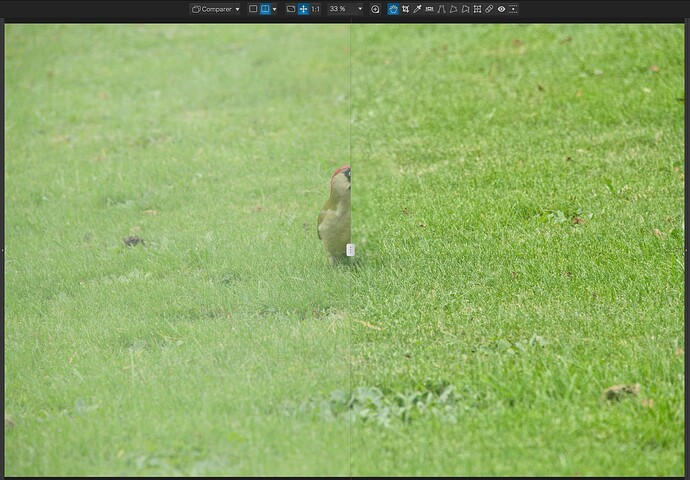 Capture d’écran 2025-05-01 à 16.55.29
