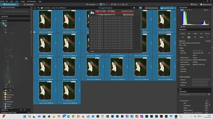 Attempt to export 20 Z8 files using DeepPRIME XD2s failed 12.10.25