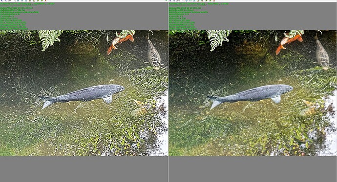 compare clarity plus 100 vs plus 100 microcontrast