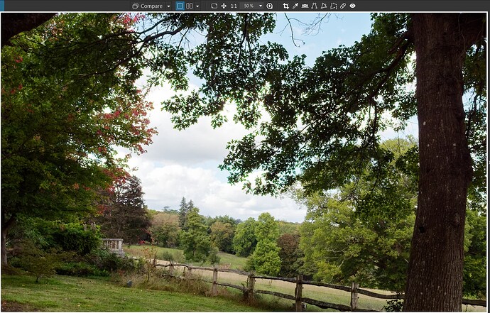 2025-09-10_164150_Optio 1 ON + DP3 - 50%