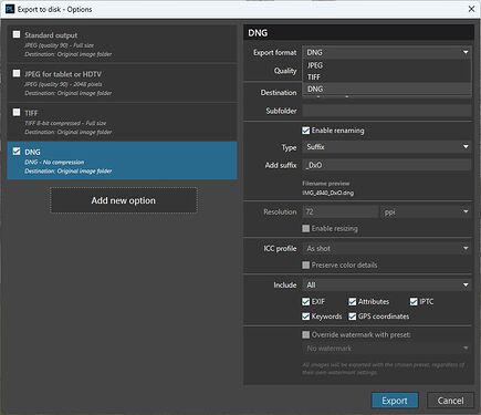 pl9.6_exportDialogDNGoptions