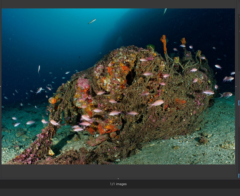 Bug distortion correction not applied on export to lightroom - macOS ...