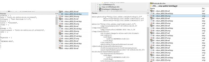 2025-08-06_115142_The DOP and XMP sidcar files after the change to KEYWORD-MOD