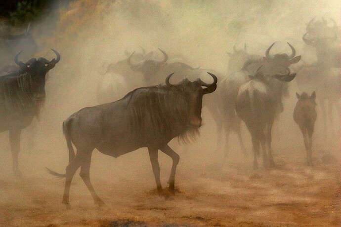 20240319150023-8d01a174-xx