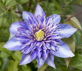 2011-05-19_Buga_Blumen_3369_2_Nik