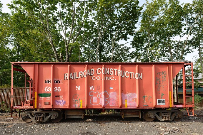 DSC_0309-DxO_DeepPRIME 3